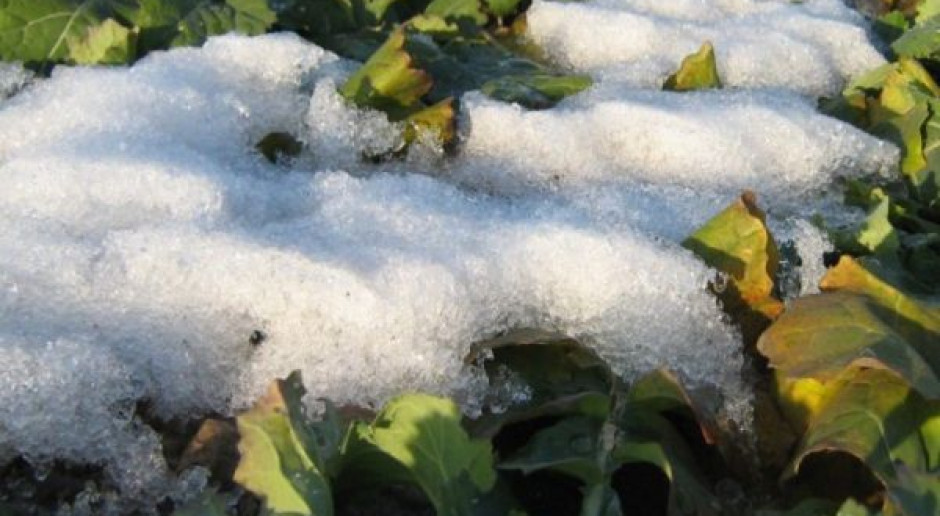 Zima – uwaga na dłuższą odwilż