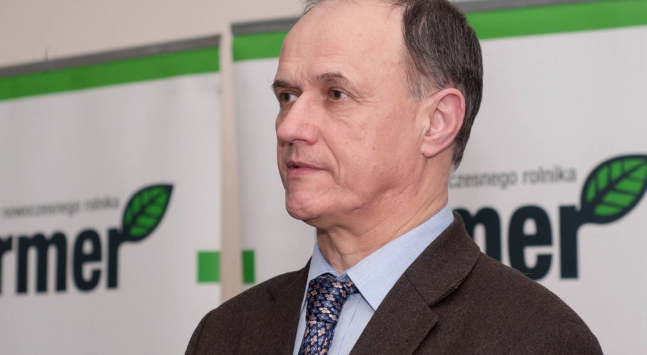 Trudno liczyć na odbudowę pogłowia świń