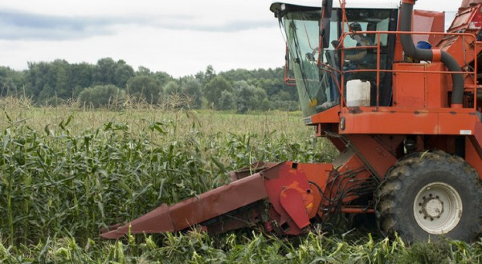 GMO zakazaliśmy skutecznie?