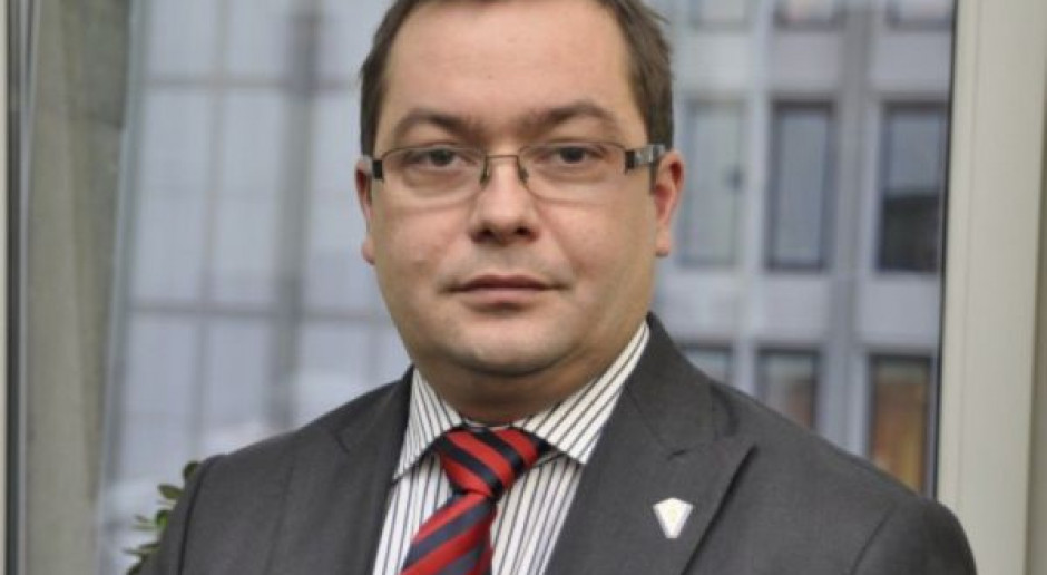 Nie wykryto koniny w mięsie wysłanym do Irlandii