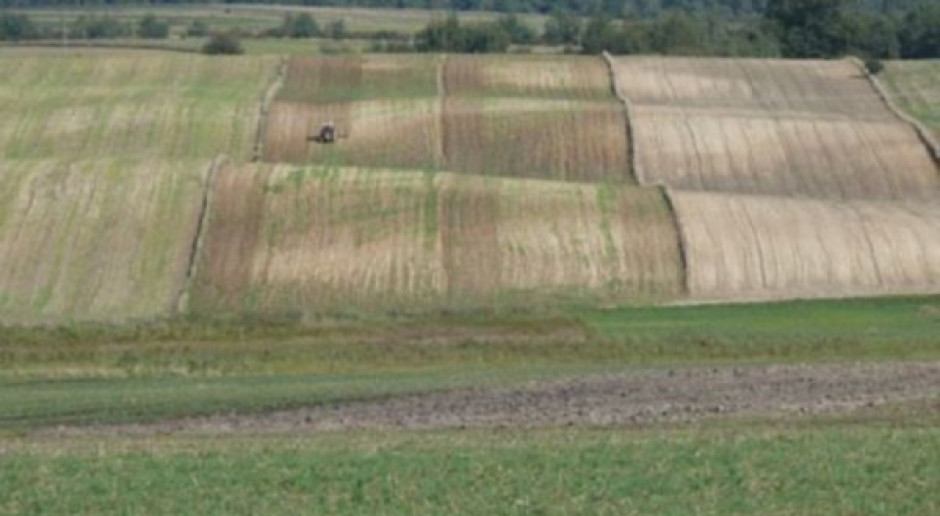 Ziemia rolnicza drożeje systematycznie