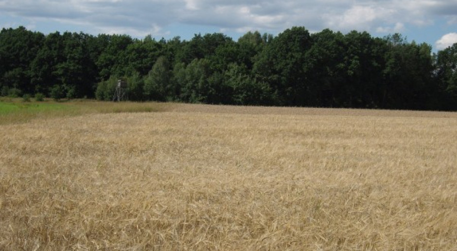 Rolnicy zasypują ANR ofertami kupna ziemi