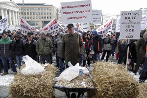 Protest producentów biomasy przed MG