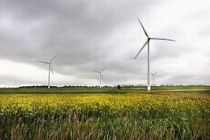 Rozwijają energetykę wiatrową  