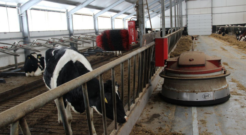 Ograniczyć sortowanie dawki przez krowy