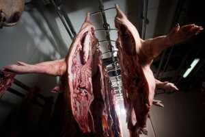 Po kontroli weterynaryjnej wstrzymano działalność 19 firm z branży mięsnej 