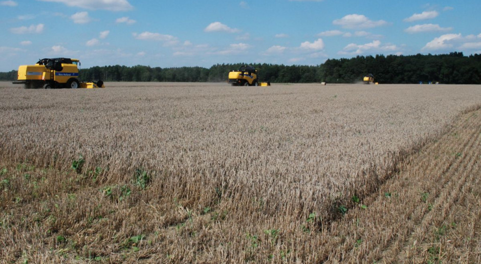 Zapowiadają się rekordowe zbiory zbóż na świecie