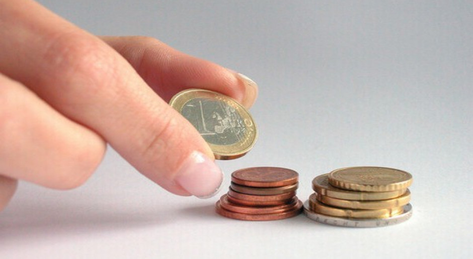 Dopłaty bezpośrednie tylko ze środków unijnych: 245 euro na ha