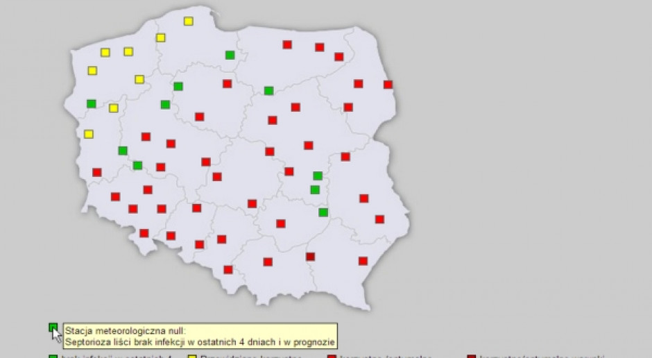 Sprawdź jakie choroby zagrażają pszenicy