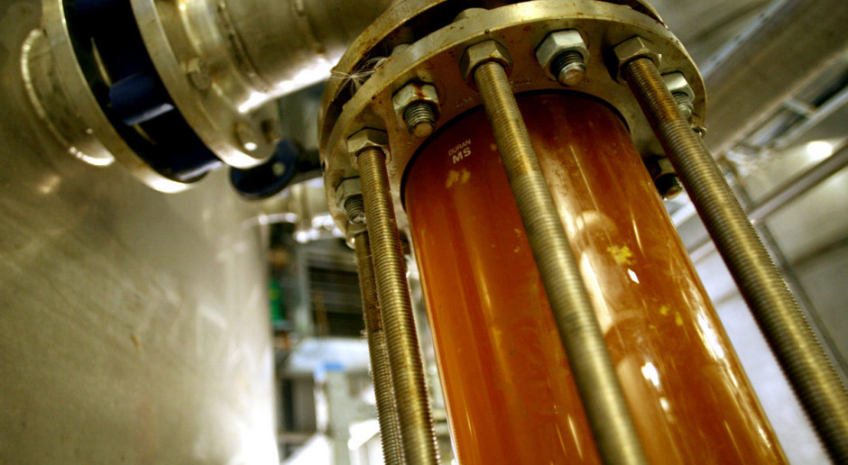 Redukcja ilości biopaliw a uprawa rzepaku