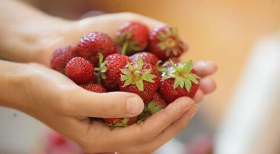 Połowę upraw truskawek zniszczył deszcz