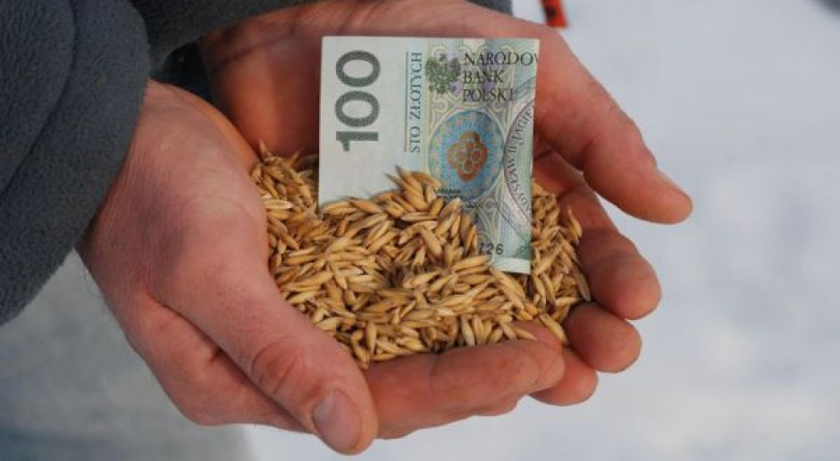 Żniwa w pełni – ceny bardzo niskie