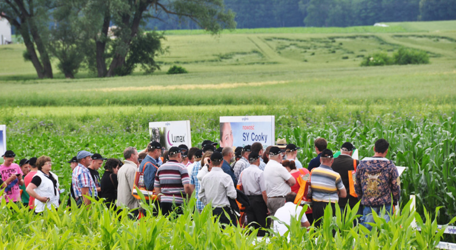 Syngenta po mazursku
