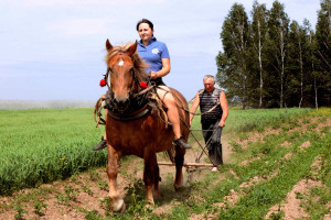 Konie - zapomniane piękno polskiej wsi