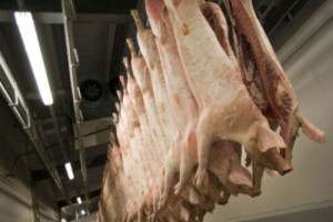 Od końca maja 2013 r. ceny świń mocno rosną