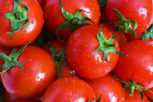 Płatność do pomidorów jeszcze w 2014 r.