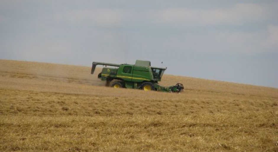 W Niemczech więcej zbóż i rzepaku, mniej ziemniaków