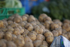 Ceny ziemniaków będą ponad dwa razy wyższe niż rok temu