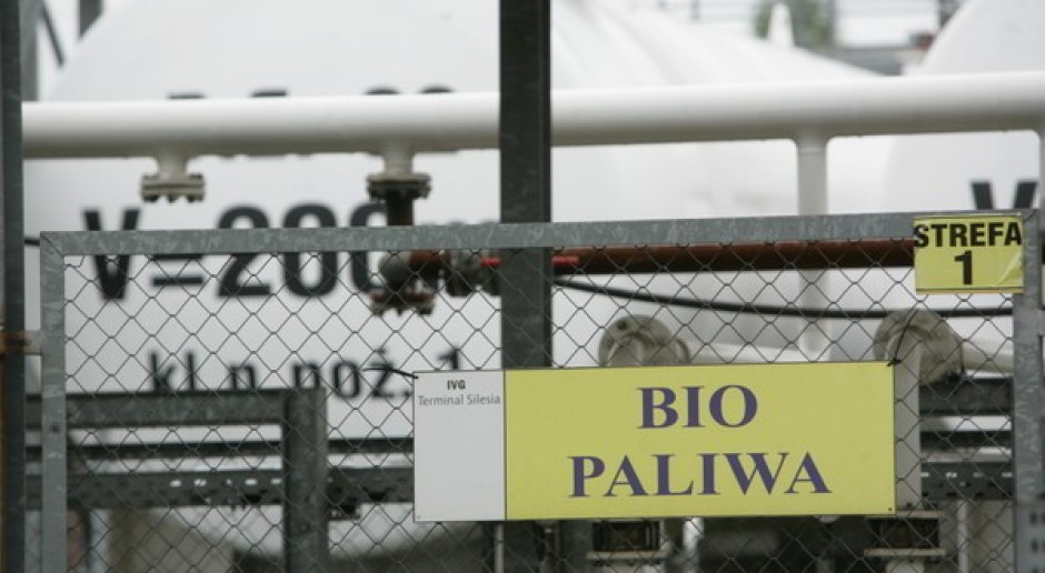 Europosłowie za ograniczeniem biopaliw z 10 do 6 proc.