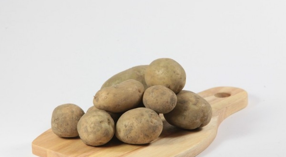 Plony ziemniaka niższe o 5-7 proc. - cena wyższa