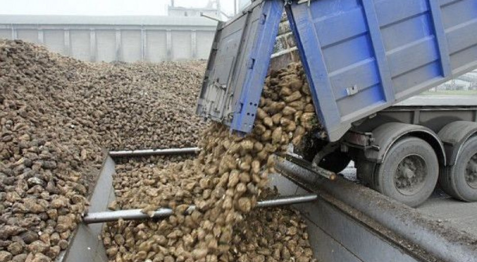 Plantatorzy przedstawią swoją wizję prywatyzacji KSC