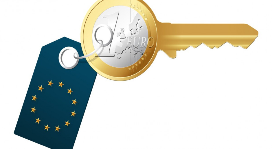 Dopłaty rolne powyżej 2 tys. euro będą niższe o 4 proc. w 2013 r.