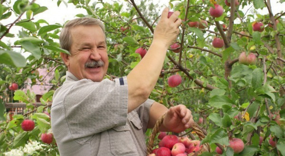 Ograniczyć skutki przymrozków w sadach