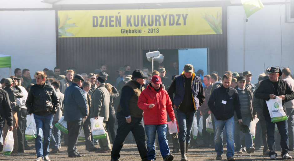 Kukurydziane dożynki