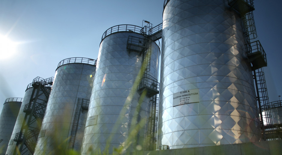 Rekordowa produkcja rzepaku i biopaliw