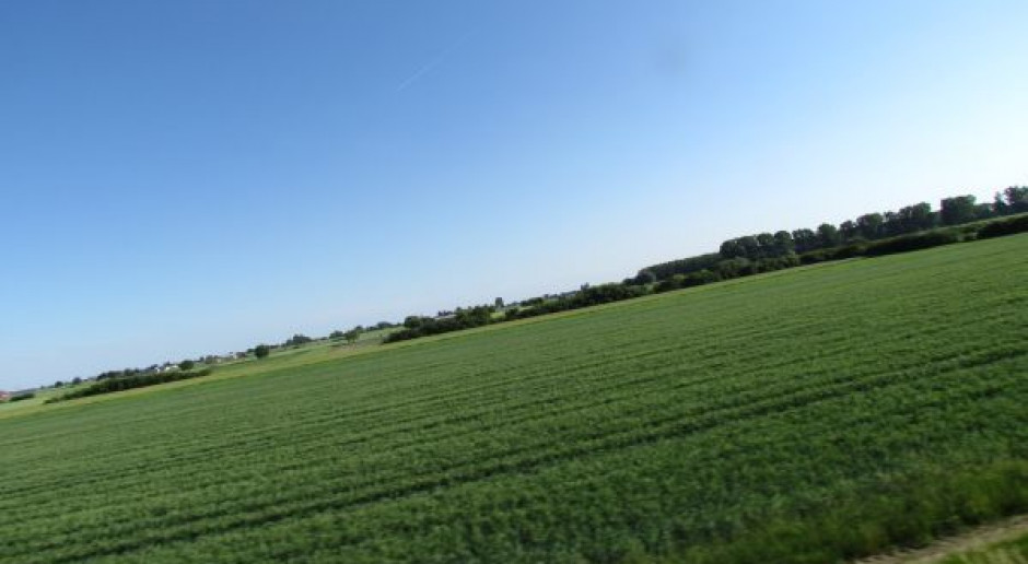 Ochrona roślin w świetle prawa