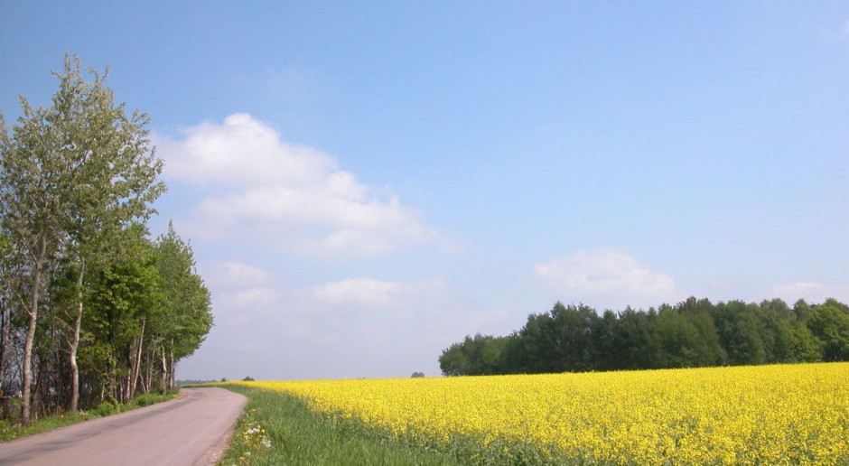 Gospodarstwa rodzinne pod ochroną ustawy