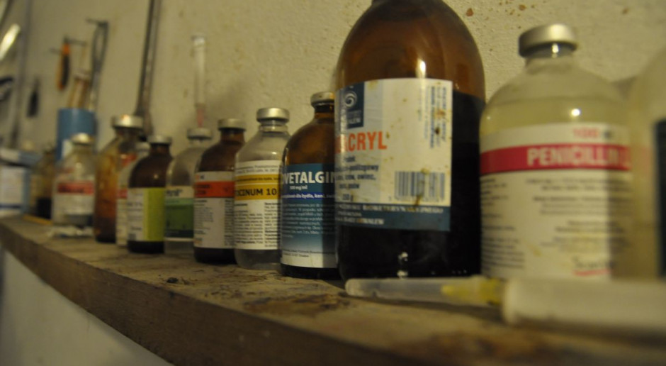 Duńczycy ograniczyli stosowanie antybiotyków