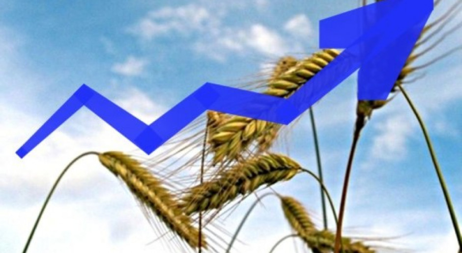 Wzrost cen zbóż