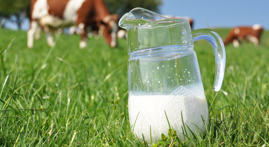 IERiGŻ: dobra koniunktura na rynku mleka