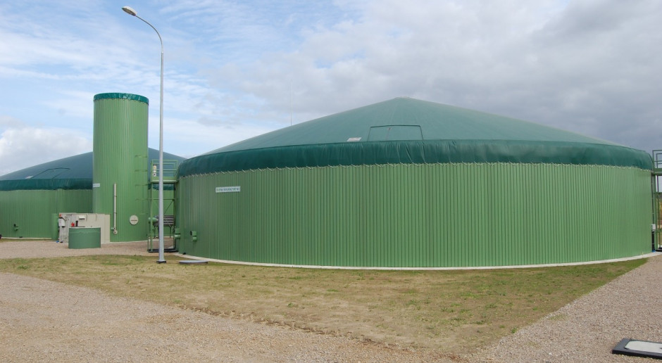 Drogi biogaz z kukurydzy