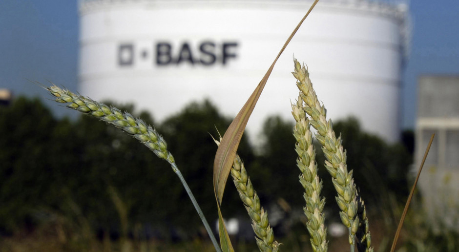 BASF poprawia wyniki