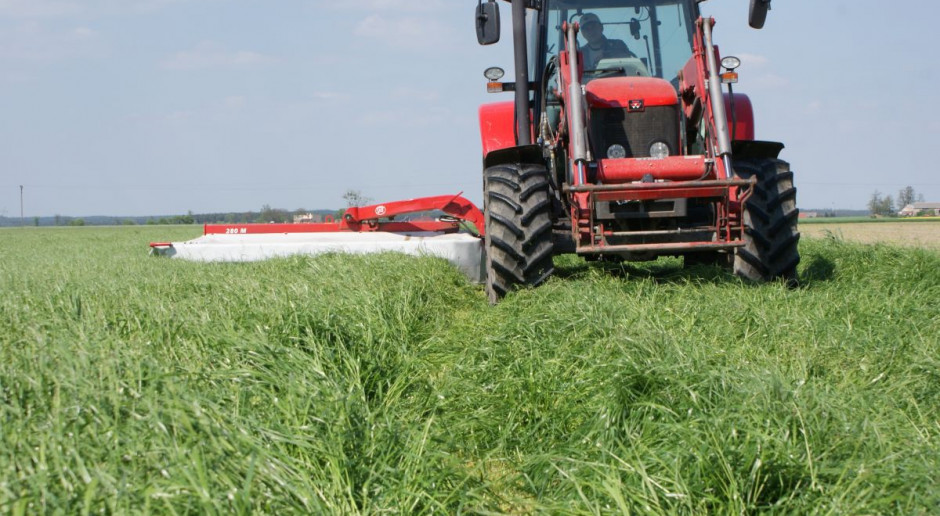 Nowe mieszanki traw i lucerny od Barenbrug