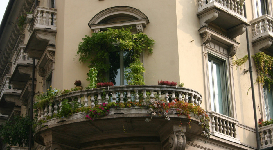 Zielony balkon
