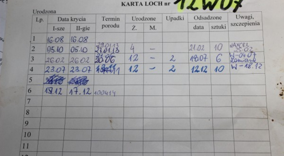Karta lochy