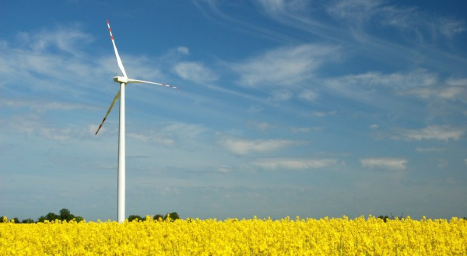W gminie Malechowo powstanie farma wiatrowa o mocy 40 MW