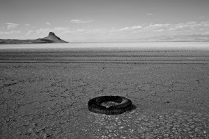 Ruszyła druga edycja konkursu Syngenta Photography Award 