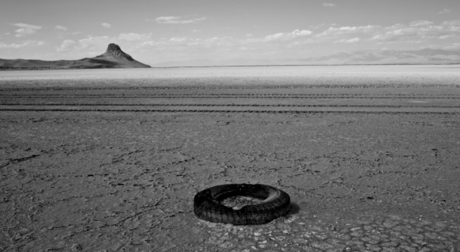 Ruszyła druga edycja konkursu Syngenta Photography Award