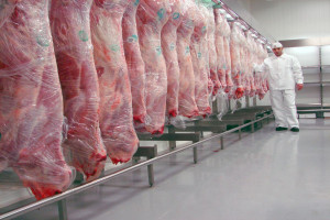 Ministerstwo Rolnictwa o handlu wieprzowiną z Ukrainą