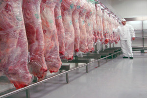 Ukraina chce przeprowadzić audyt ws. embarga na polskie mięso