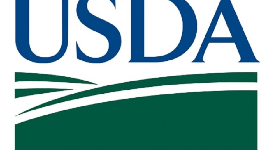 Zboża tanieją po raporcie USDA