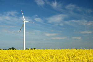 Uruchomiono farmę wiatrową Wojciechowo o mocy 28 MW