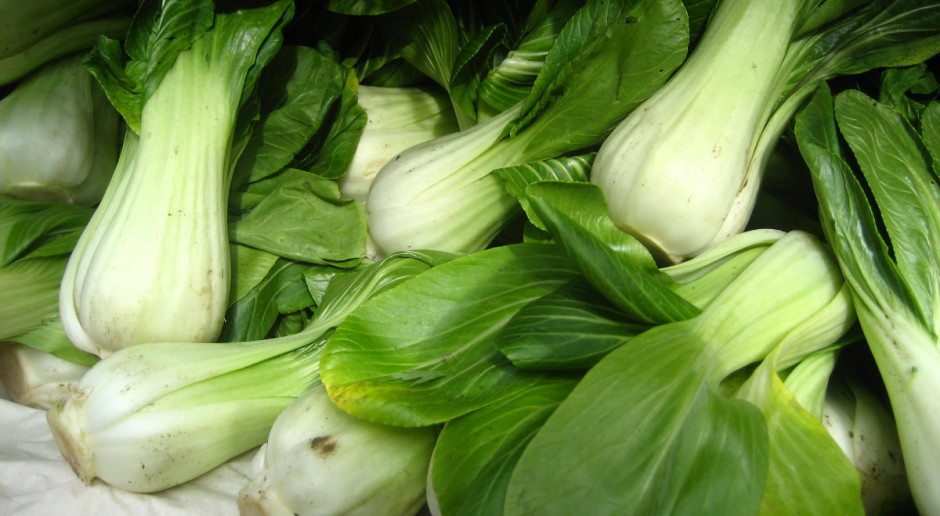 Uprawa kapusty chińskiej "Pak Choi"