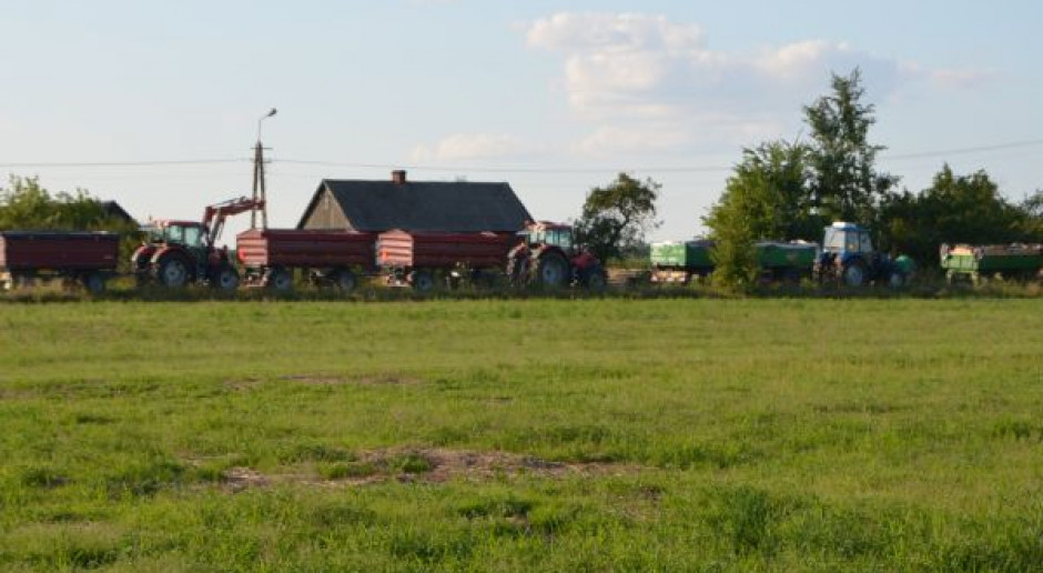 Kolejki do skupu rzepaku, tona po 1120-1210 zł, jęczmień po 500-530 zł/t