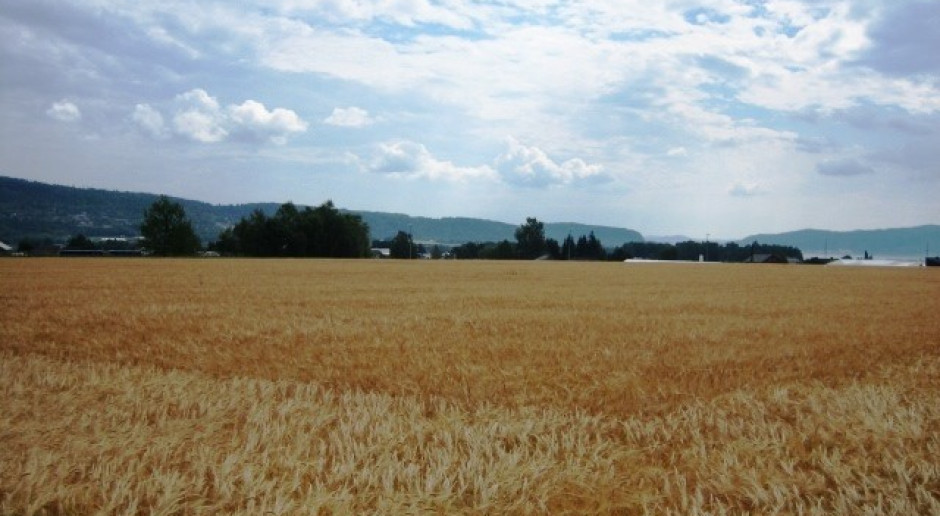 Dane dotyczące roślinnej produkcji rolniczej 2014