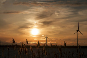 NIK: farmy wiatrowe na działkach radnych, burmistrzów, wójtów